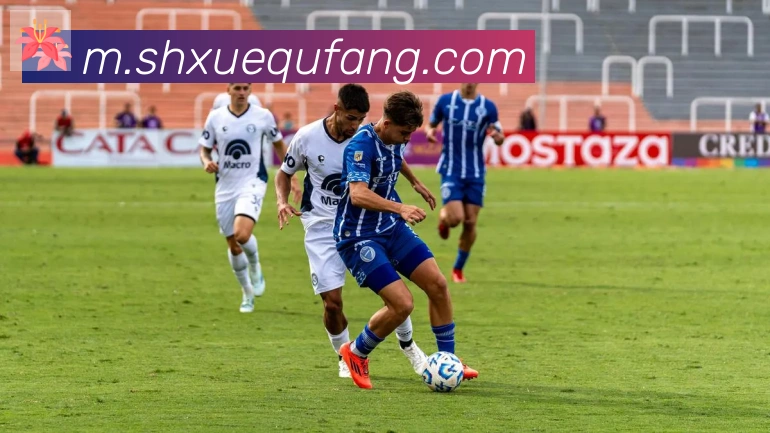 雅博app官网服务体系